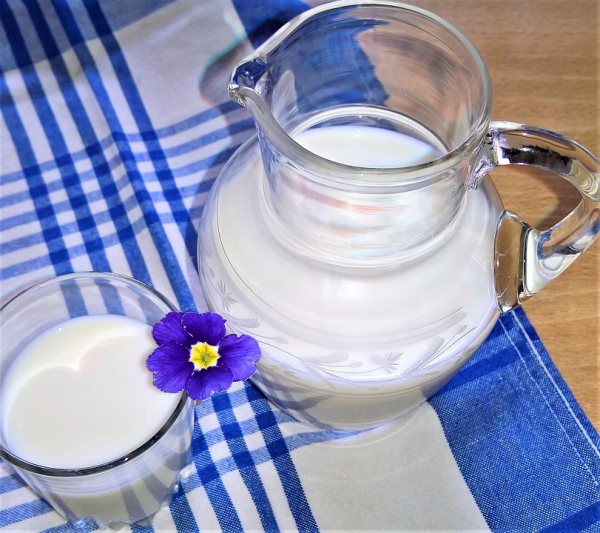 Uống sữa tươi chưa tiệt trùng, bạn có thể gặp những rủi ro gì