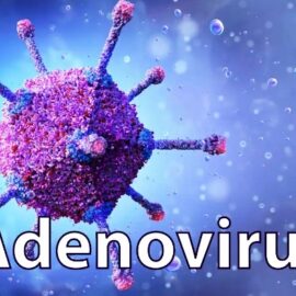 11 thắc mắc về trẻ nhiễm adenovirus bố mẹ nên biết