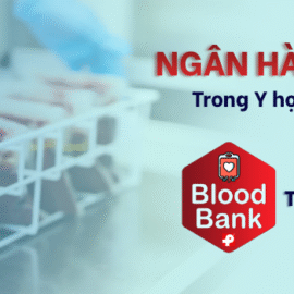 Ngân hàng máu trong Y học hiện đại – Giải pháp Công nghệ tối ưu Quản lý Truyền máu TPH.FBlood
