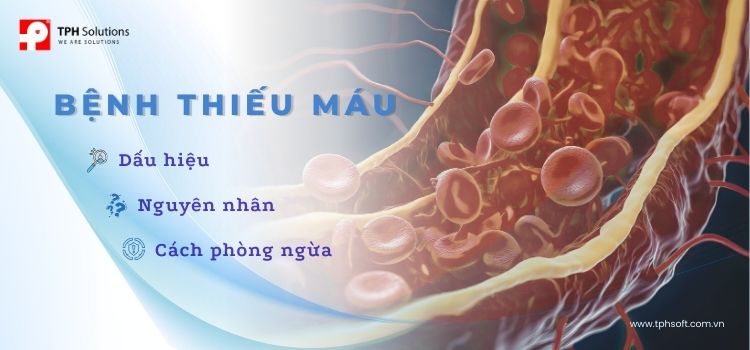 Thiếu máu: Nguyên nhân, dấu hiệu và cách phòng ngừa