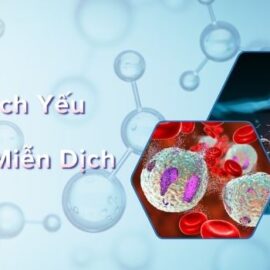 Miễn dịch yếu và rối loạn miễn dịch: Dấu hiệu và cách nhận biết