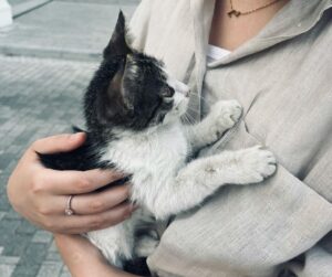 Lợi ích của việc nuôi thú cưng