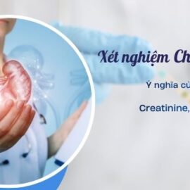 Xét nghiệm chức năng thận: Ý nghĩa chỉ số Creatinine, Ure và eGFR