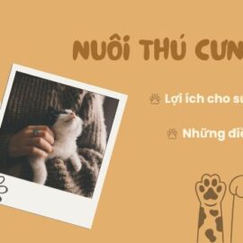 Lợi ích khi nuôi thú cưng
