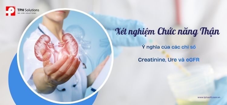 Xét nghiệm chức năng thận: Ý nghĩa chỉ số Creatinine, Ure và eGFR