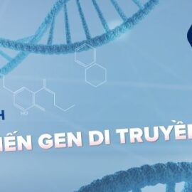 Phân tích đột biến Gen di truyền – Giải pháp chủ động dự báo nguy cơ Ung thư sớm