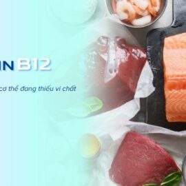 Thiếu Vitamin B12
