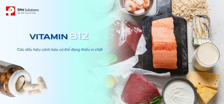 Thiếu Vitamin B12: Dấu Hiệu Dễ Bỏ Qua Và Cách Phòng Ngừa Hiệu Quả Thiếu Vitamin B12